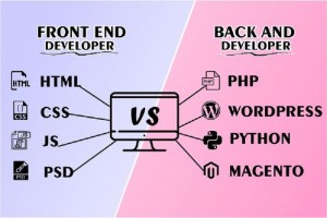 Frontend And Backend Website Development 
