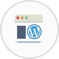 Custom WordPress Development