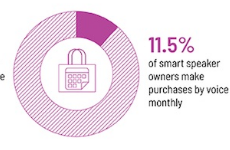 Voicebot Smart Speaker Consumer Adoption Report