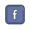 Facebook SEO Optimization Services- Ecommerce Plan